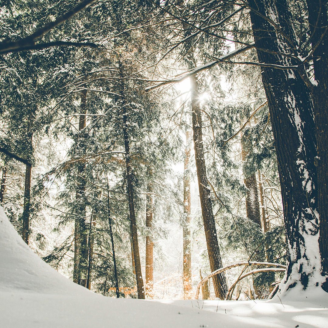 Outdoor Winter Activities for Kids: Fun Ways to Explore Nature This Season