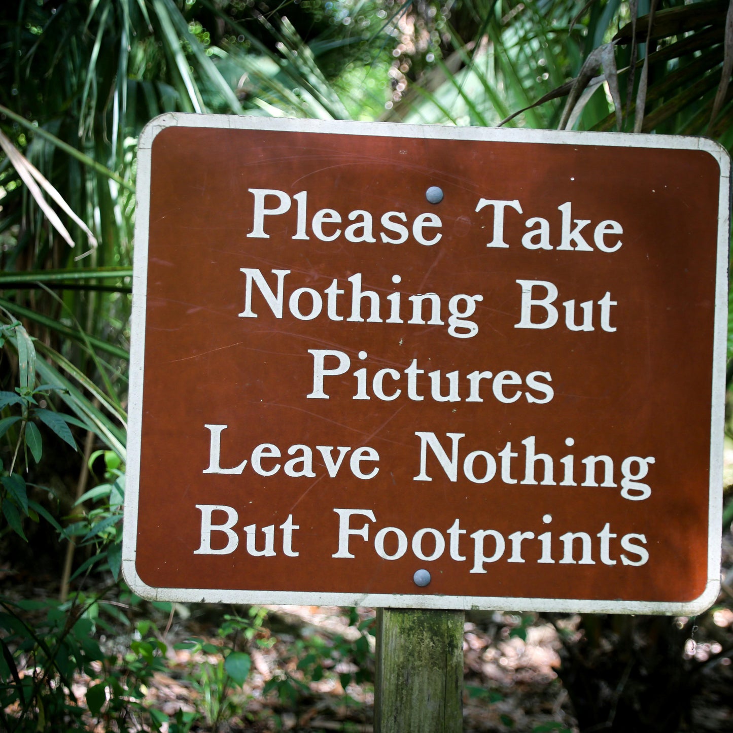 Leave no trace sign in park