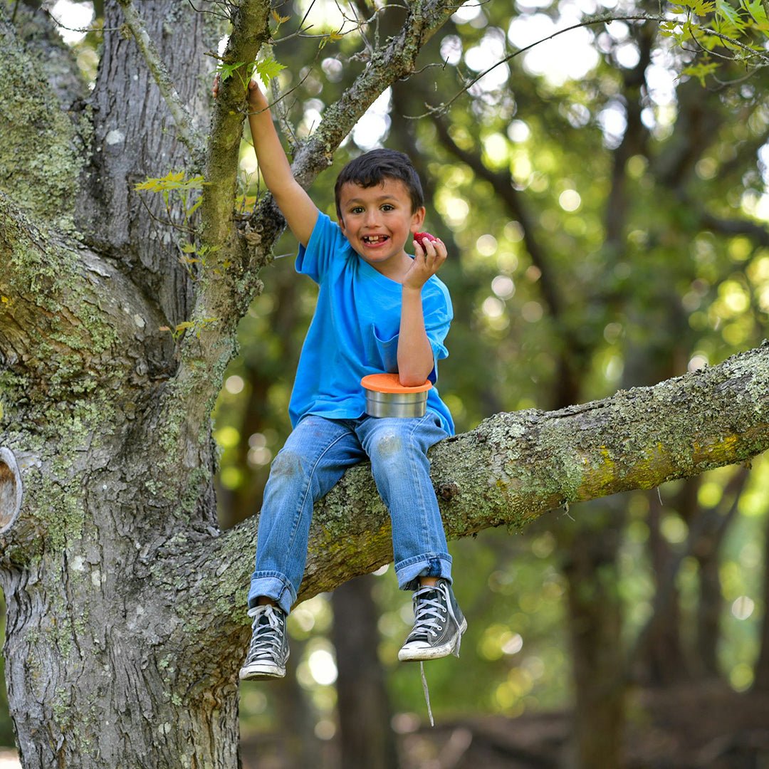 kid climbing tree and being independent in nature