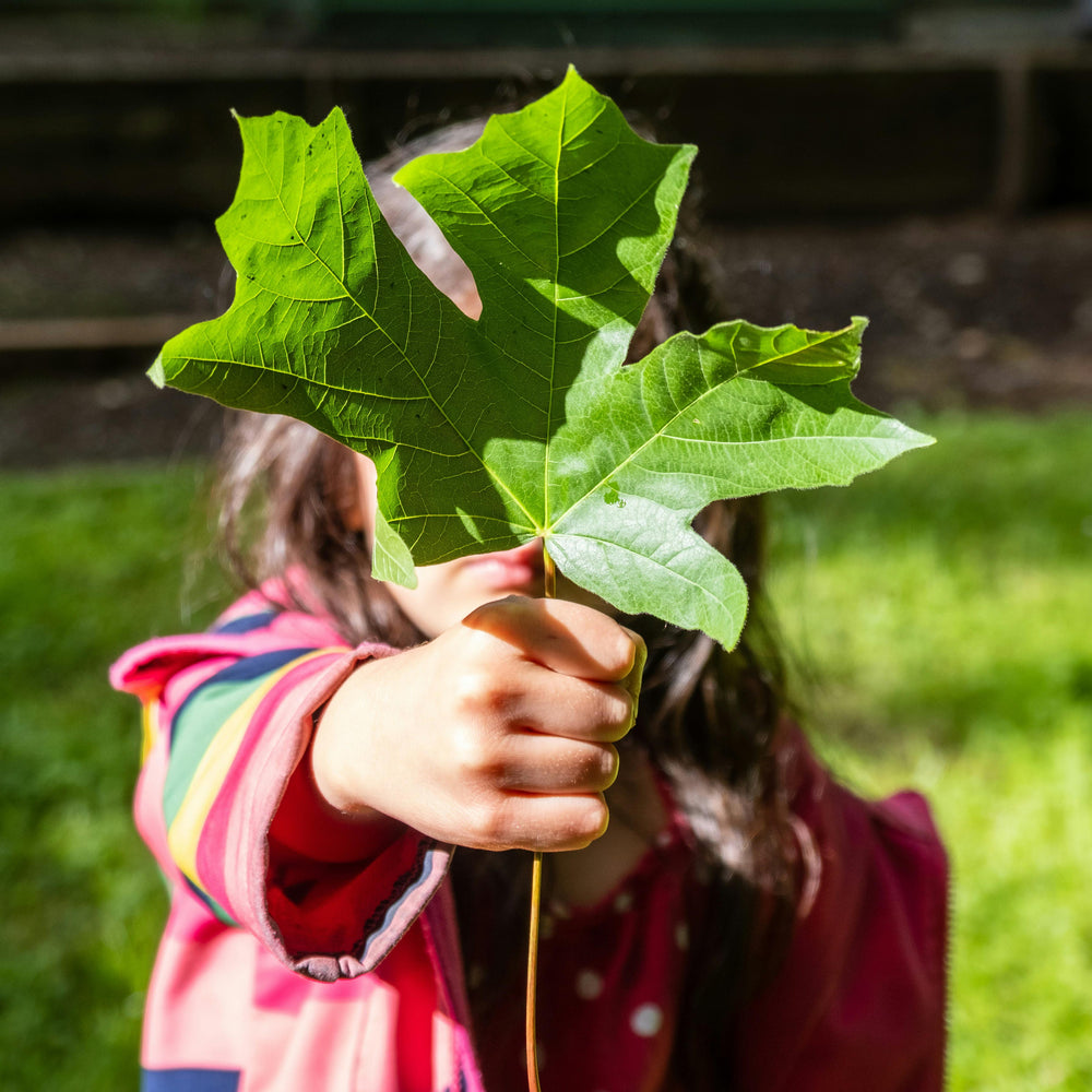A child examining a leaf 