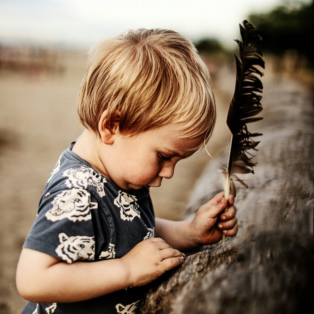 DIY Nature Scavenger Hunts for Different Age Groups