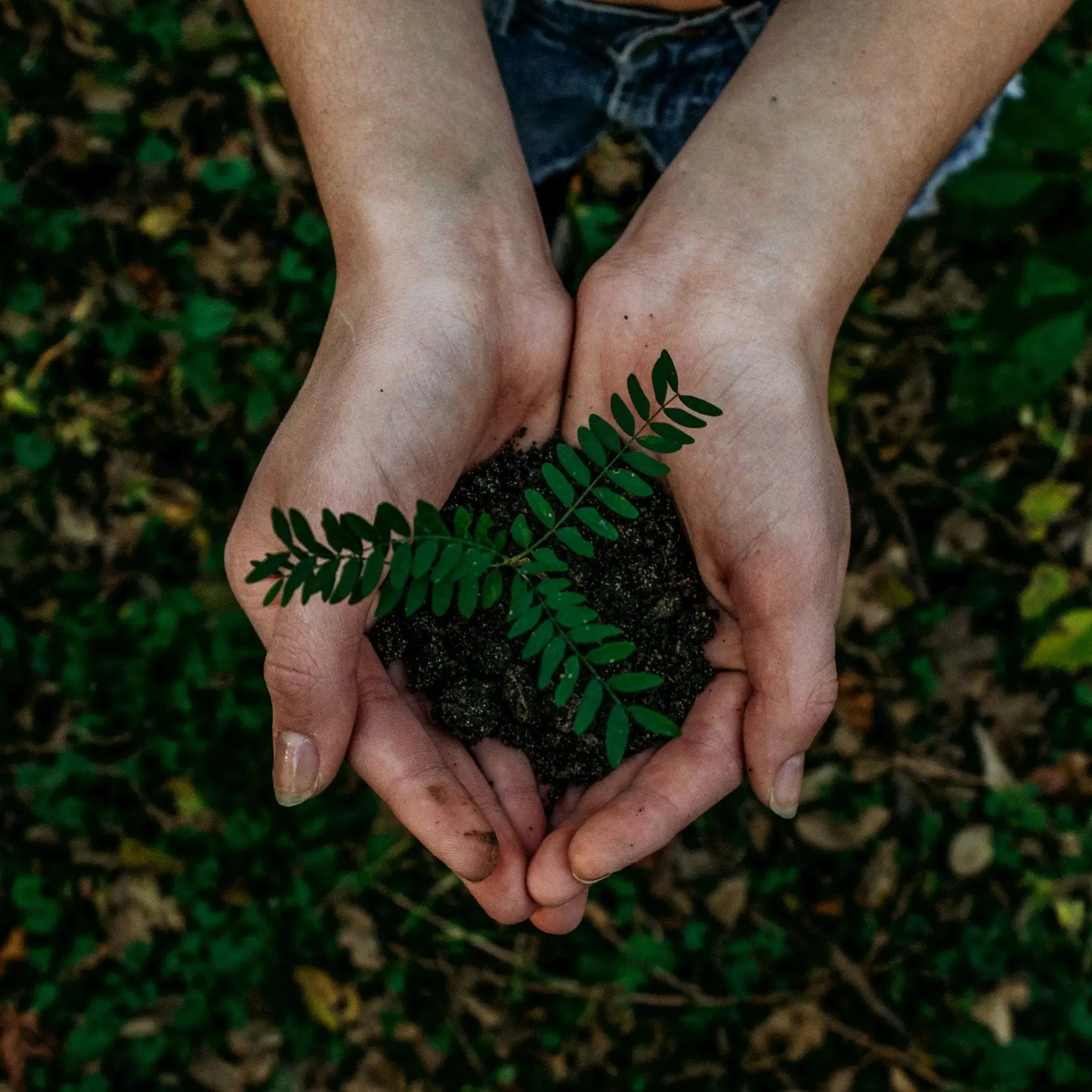 The Ultimate List of Sustainable Baby Clothes for Eco-Conscious Parents - Play Outside