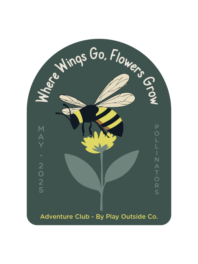 May - Pollinators