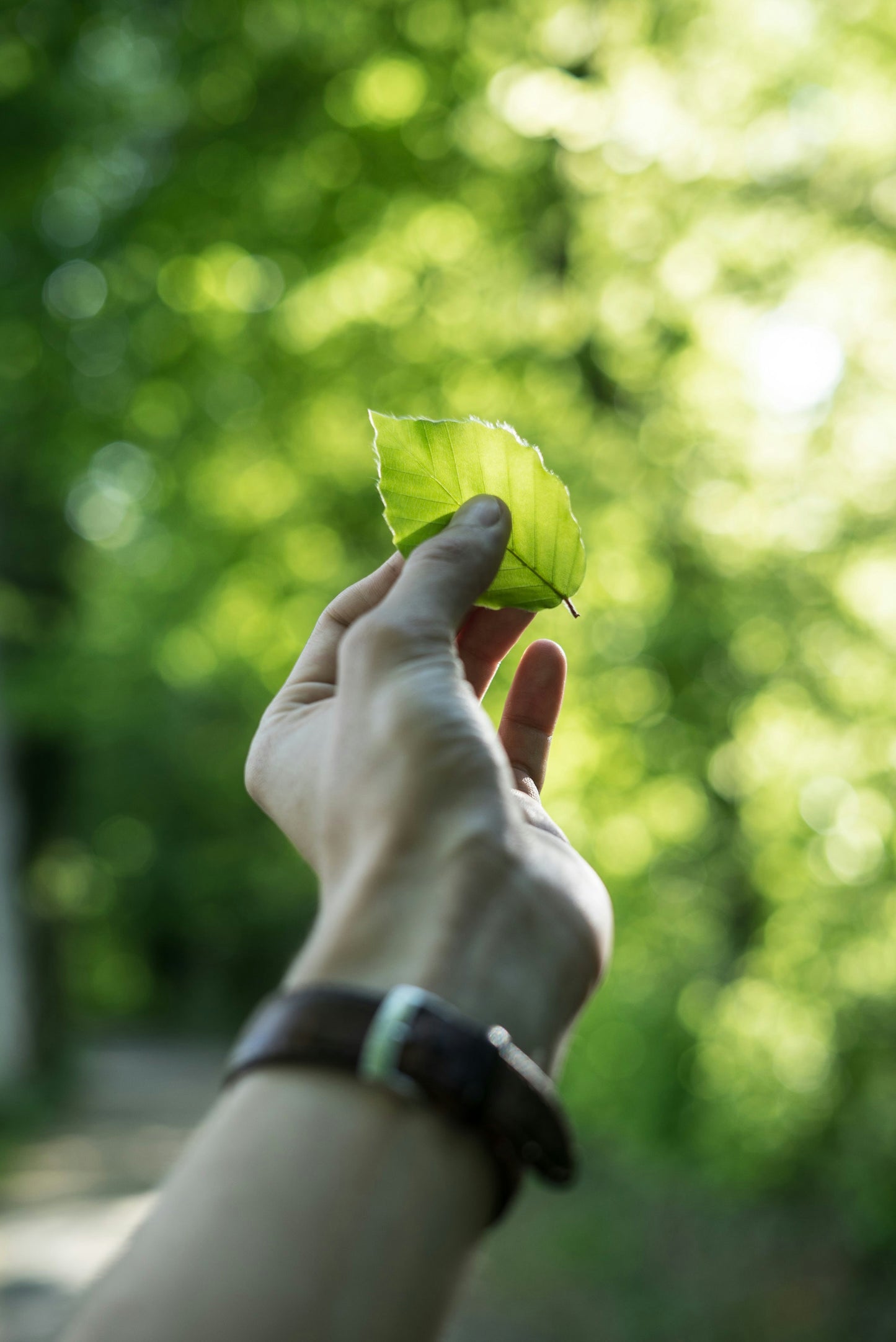 A close-up of a hand gently holding a vibrant green leaf in the middle of a lush forest. The image symbolizes a love for the outdoors, a connection to nature, and the simplicity and sustainability found in mindful exploration.